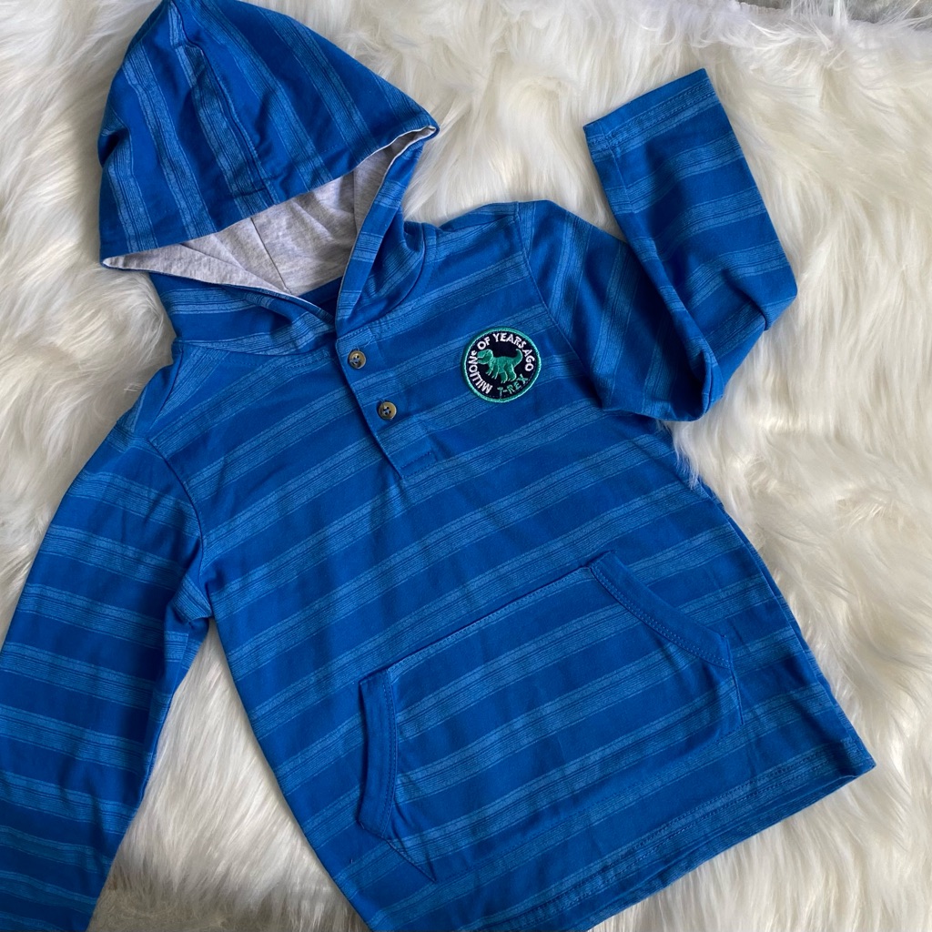 T-Rex Stripe Long Sleeve Hoodie Boys 4t